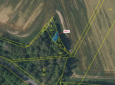 Prodej pozemku, les, 65 m²
