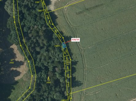 Prodej pozemku, les, 21 m²