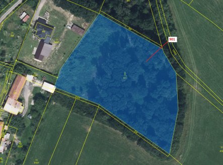 Prodej pozemku, les, 8 233 m²