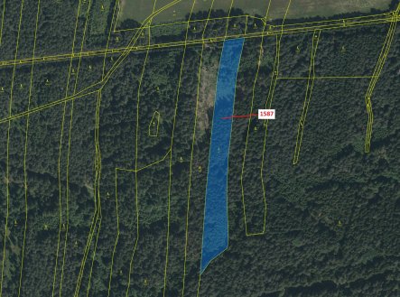 Prodej pozemku, les, 11 125 m²