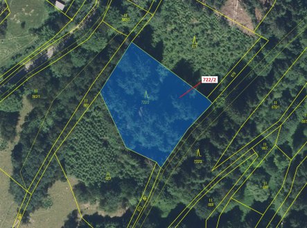 Prodej pozemku, les, 2 620 m²