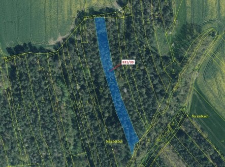 Prodej pozemku, les, 3 368 m²