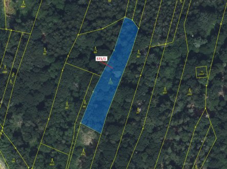 Prodej pozemku, les, 2 332 m²