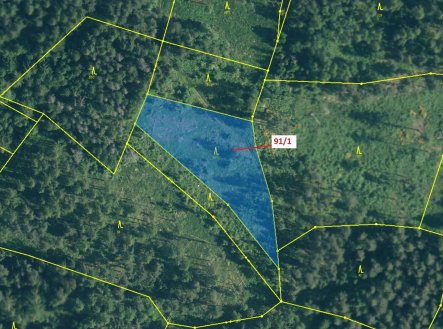 Prodej pozemku, les, 3 251 m²