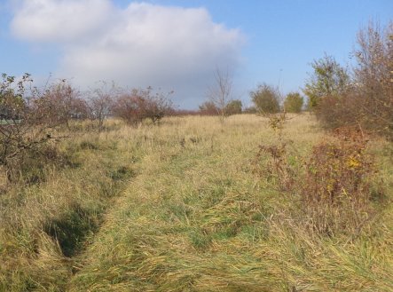 Prodej pozemku, zahrada, 637 m² obrázek