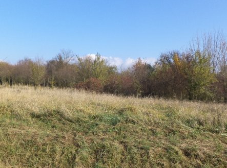 Prodej pozemku, zahrada, 637 m²