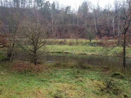 Prodej pozemku, trvalý travní porost, 8 621 m²