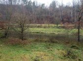 Prodej pozemku, trvalý travní porost, 8 621 m²