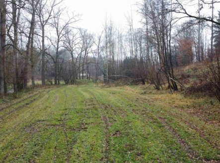 Prodej pozemku, trvalý travní porost, 8 621 m²