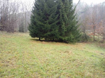 Prodej pozemku, trvalý travní porost, 8 621 m²