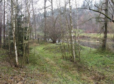 Prodej pozemku, trvalý travní porost, 8 621 m²