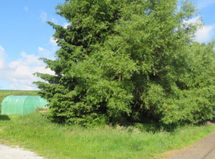 Prodej pozemku, zahrada, 265 m²