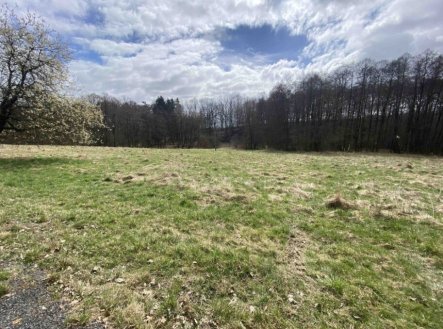Prodej pozemku, trvalý travní porost, 692 m²