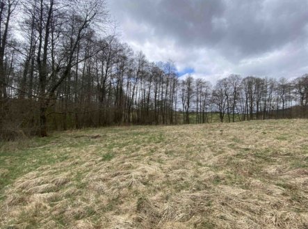 Prodej pozemku, trvalý travní porost, 692 m²