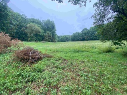 Prodej pozemku, trvalý travní porost, 1 500 m²