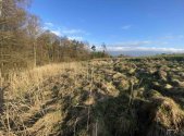 Prodej pozemku, trvalý travní porost, 448 m²