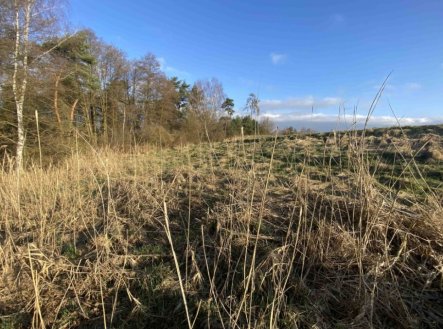 Prodej pozemku, trvalý travní porost, 448 m²