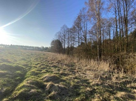 Prodej pozemku, trvalý travní porost, 448 m²