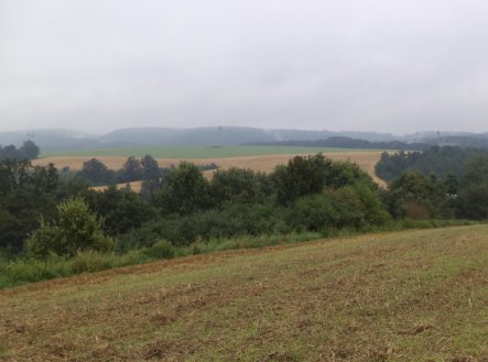 Prodej pozemku, trvalý travní porost, 1 834 m²