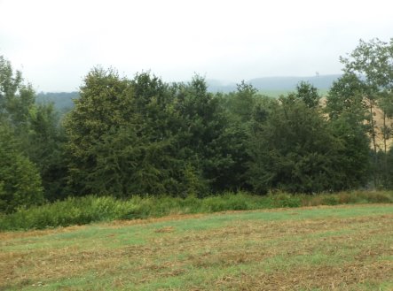 Prodej pozemku, trvalý travní porost, 1 834 m²