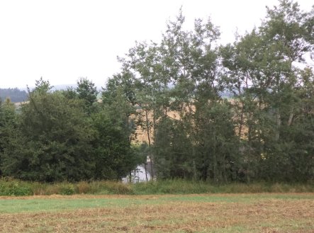 Prodej pozemku, trvalý travní porost, 1 834 m²