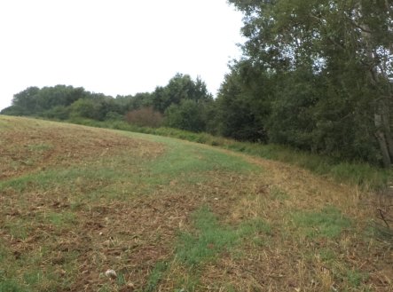 Prodej pozemku, trvalý travní porost, 1 834 m²