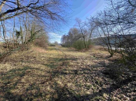 Prodej pozemku, trvalý travní porost, 10 470 m²