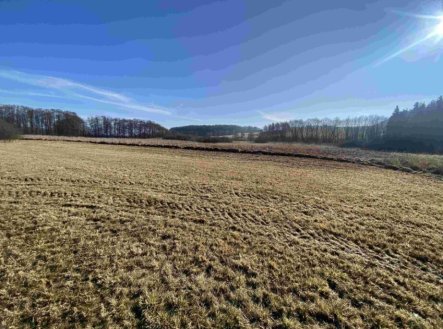 Prodej pozemku, trvalý travní porost, 10 470 m²