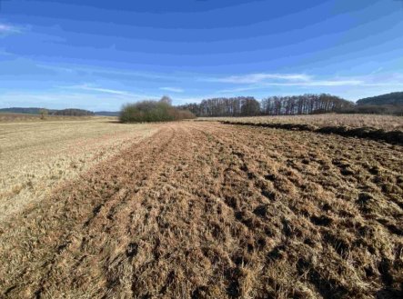 Prodej pozemku, trvalý travní porost, 10 470 m²