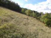 Prodej pozemku, trvalý travní porost, 806 m²