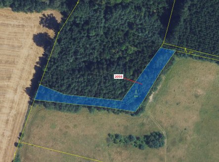 Prodej pozemku, les, 2 241 m²