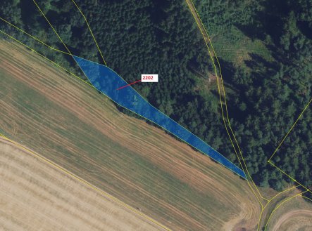 Prodej pozemku, les, 1 919 m²
