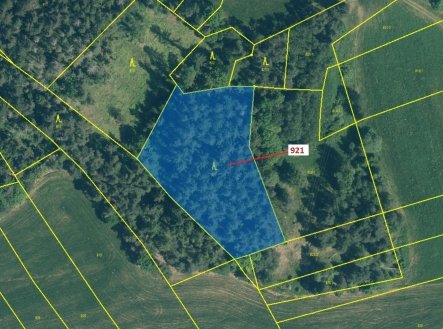 Prodej pozemku, les, 4 401 m²