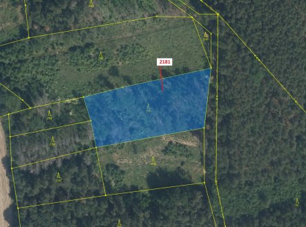 Prodej pozemku, les, 4 236 m²