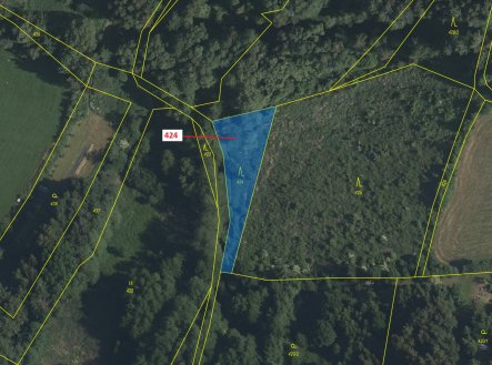 Prodej pozemku, les, 967 m²