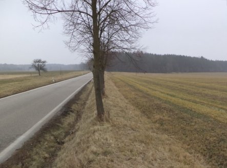 Prodej pozemku, zemědělská půda, 1 591 m²