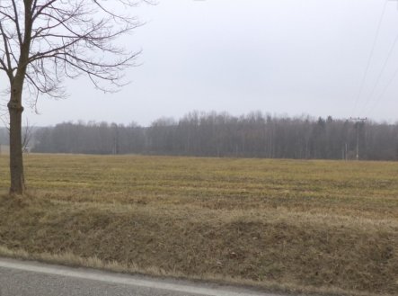 Prodej pozemku, zemědělská půda, 1 591 m²