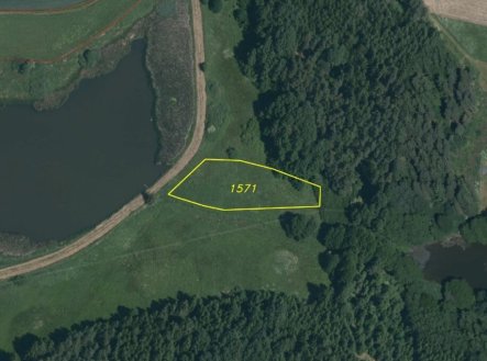 Prodej pozemku, trvalý travní porost, 2 441 m²