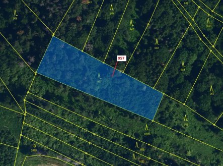 Prodej pozemku, les, 2 344 m²