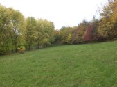 Prodej pozemku, trvalý travní porost, 570 m²