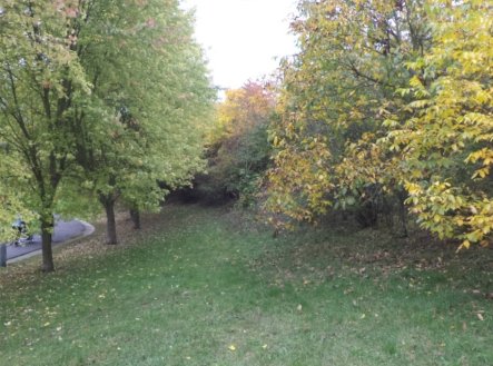 Prodej pozemku, trvalý travní porost, 570 m²