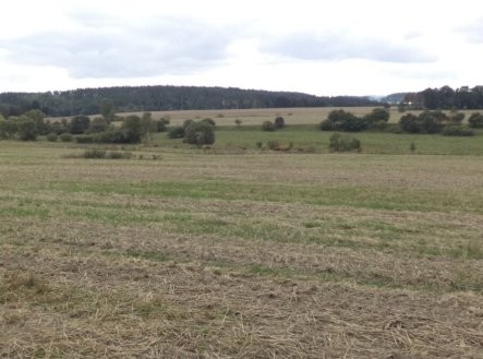 Prodej pozemku, zemědělská půda, 842 m²