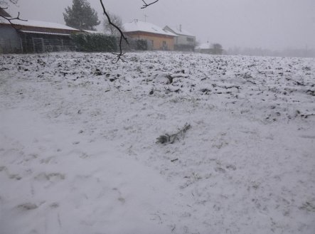 Prodej pozemku, zemědělská půda, 1 638 m²