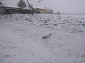 Prodej pozemku, zemědělská půda, 1 638 m²