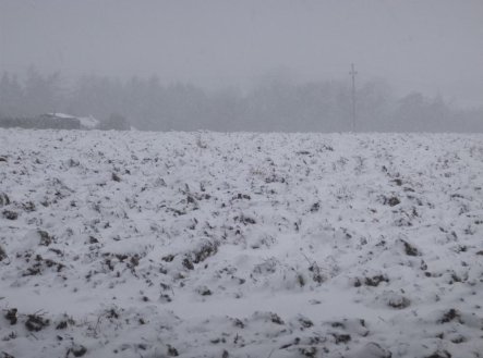 Prodej pozemku, zemědělská půda, 1 638 m²