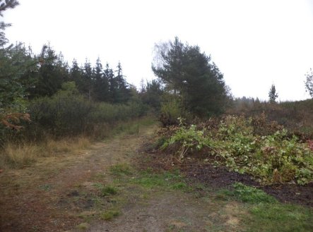 Prodej pozemku, trvalý travní porost, 7 060 m²