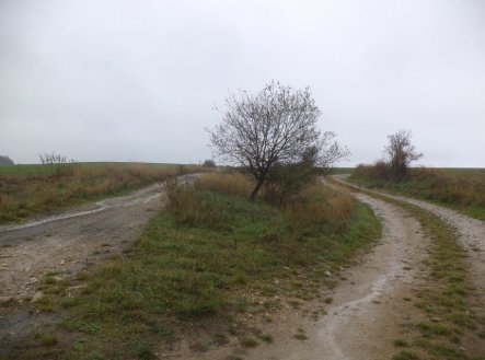 Prodej pozemku, trvalý travní porost, 7 060 m²