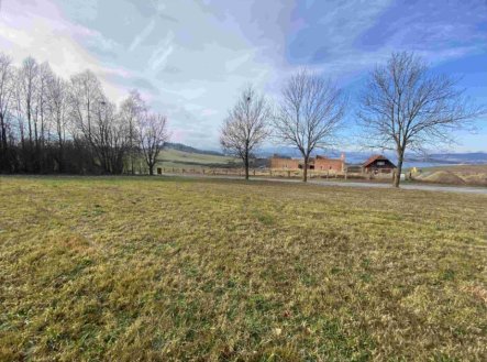 Prodej pozemku, trvalý travní porost, 2 972 m²