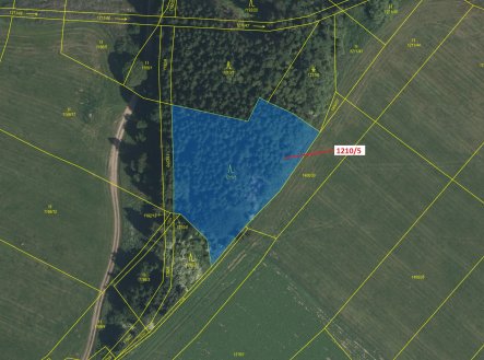 Prodej pozemku, les, 3 832 m²