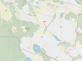Prodej pozemku, les, 1 093 m²